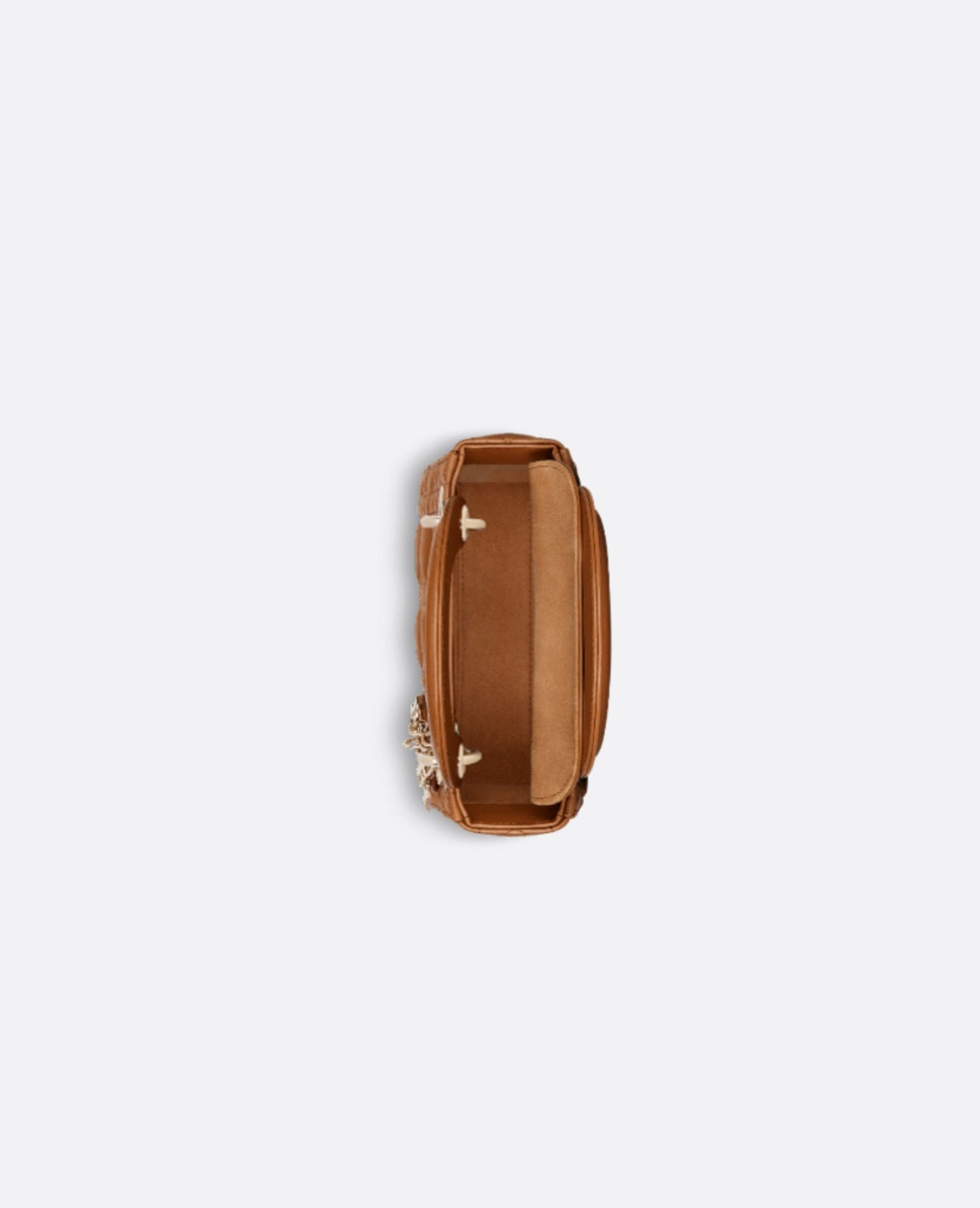 Christian Dior Mini Lady Dior Bag Golden Saddle